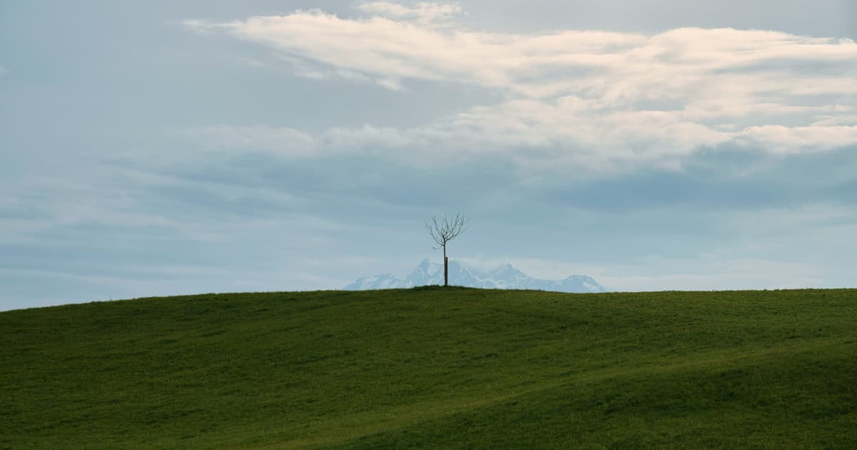 PowerBank Corporation Secures Municipal Approvals for 28.8 MW of Community Solar Projects in Skaneateles, New York