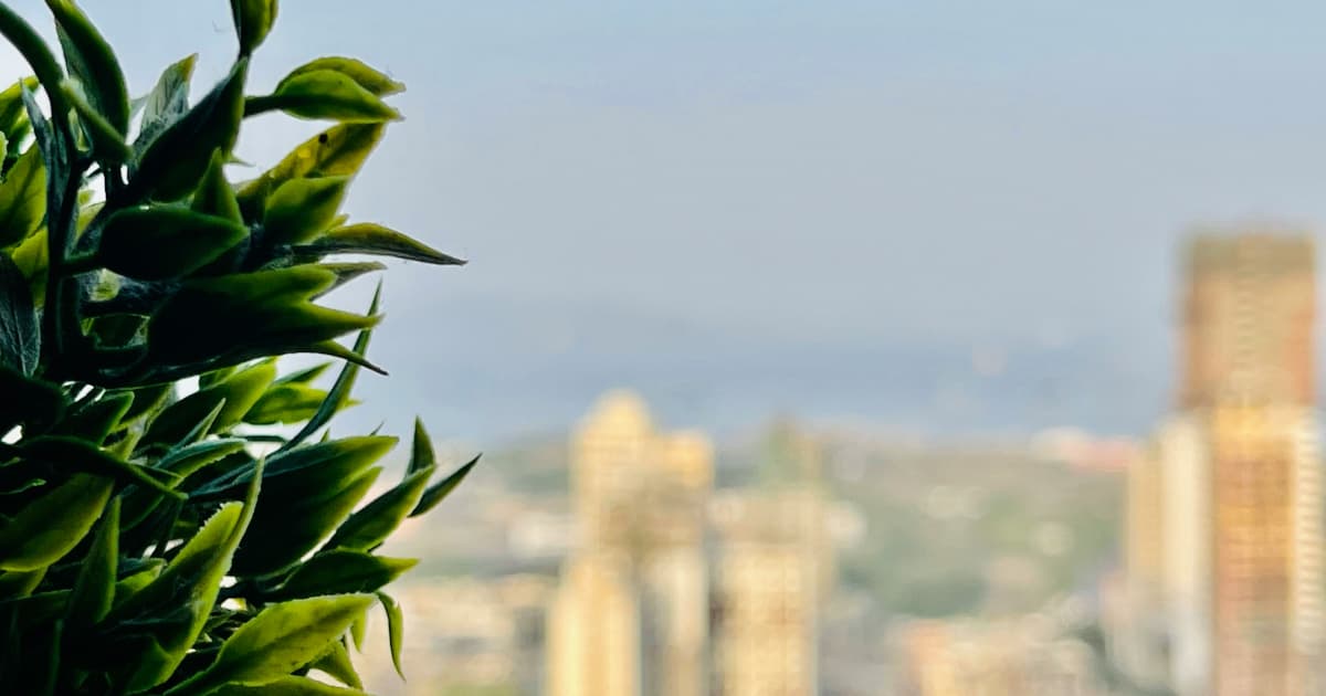 Medicare Hemp Proposal Highlights Gap in Medical Cannabis Insurance Coverage